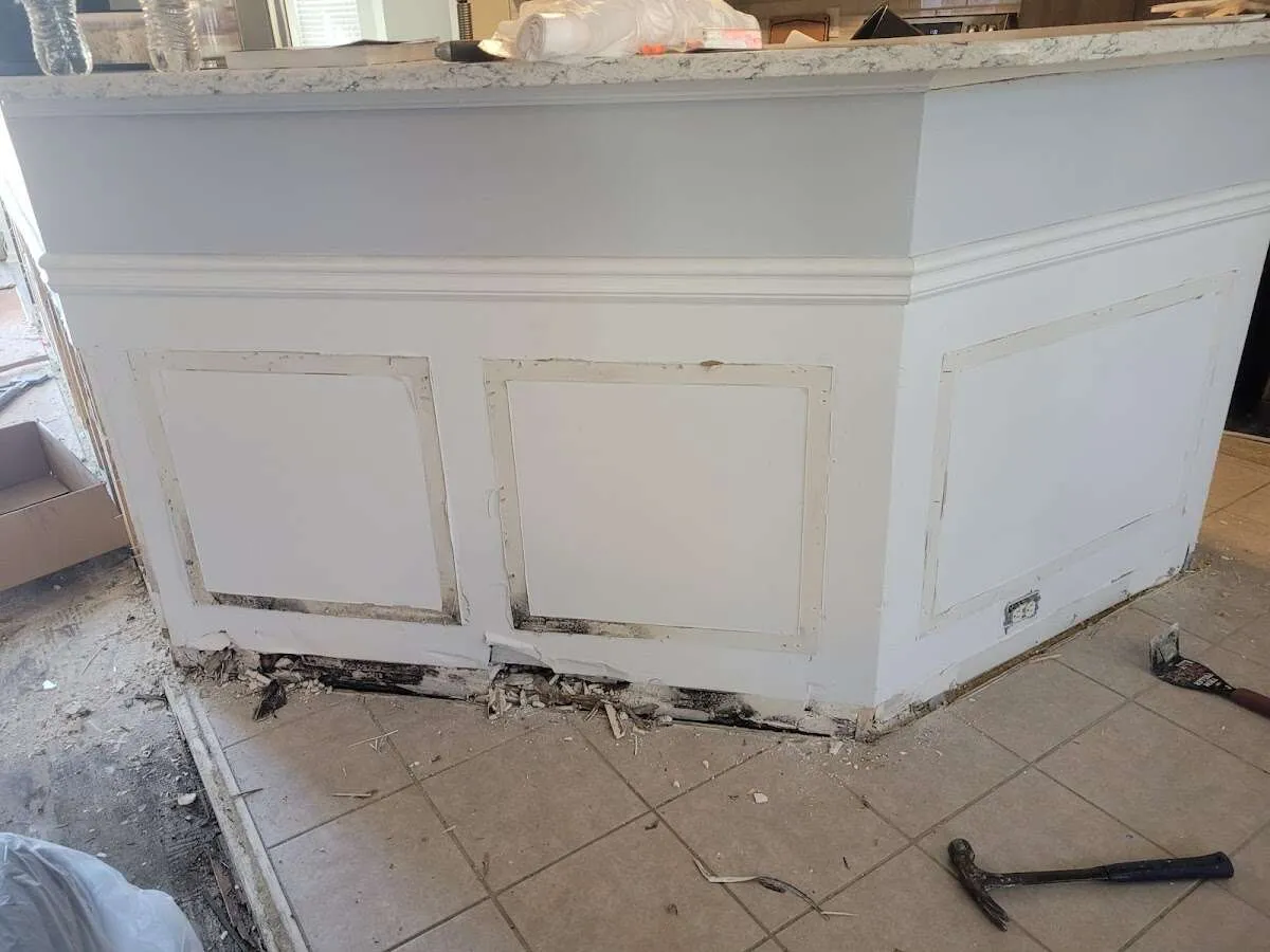Water damage and mold on kitchen during Storm Damage Restoration in Carterville